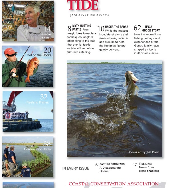 CCA’s Tide Magazine For Members