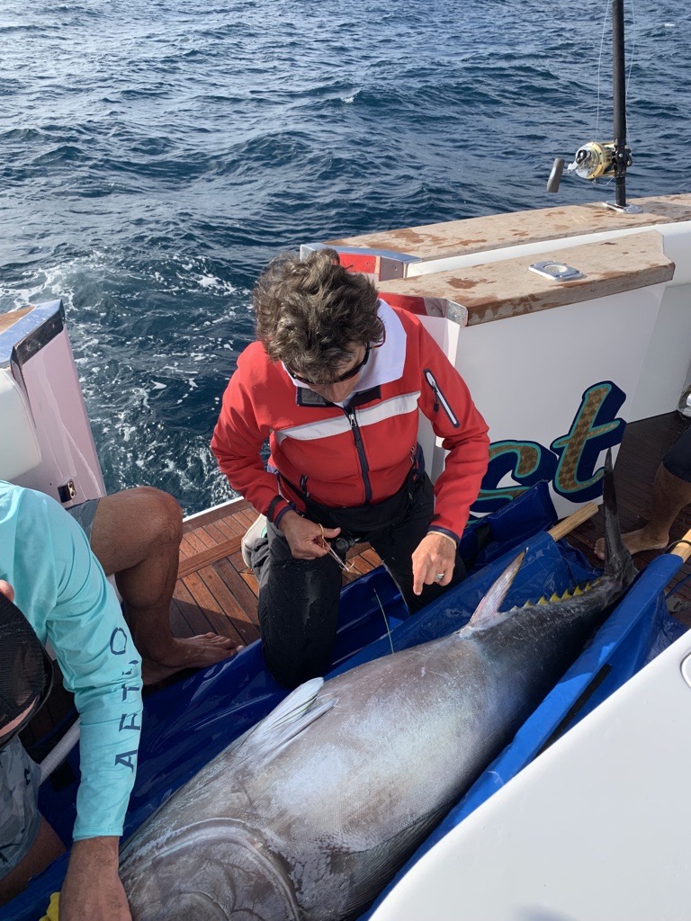 CCA CAL and Dr Barbara Block Again Team Up to Tag Giant Pacific Bluefin